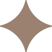 star icon